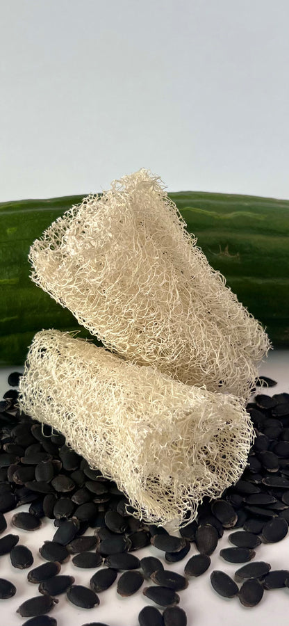 All Natural, Organic Home Grown Luffa Sponge (free shipping*)