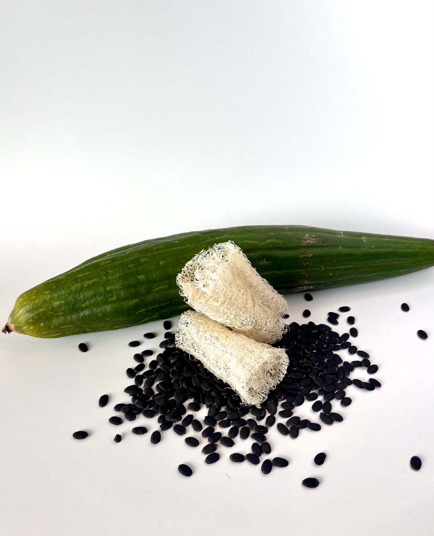 All Natural, Organic Home Grown Luffa Sponge (free shipping*)