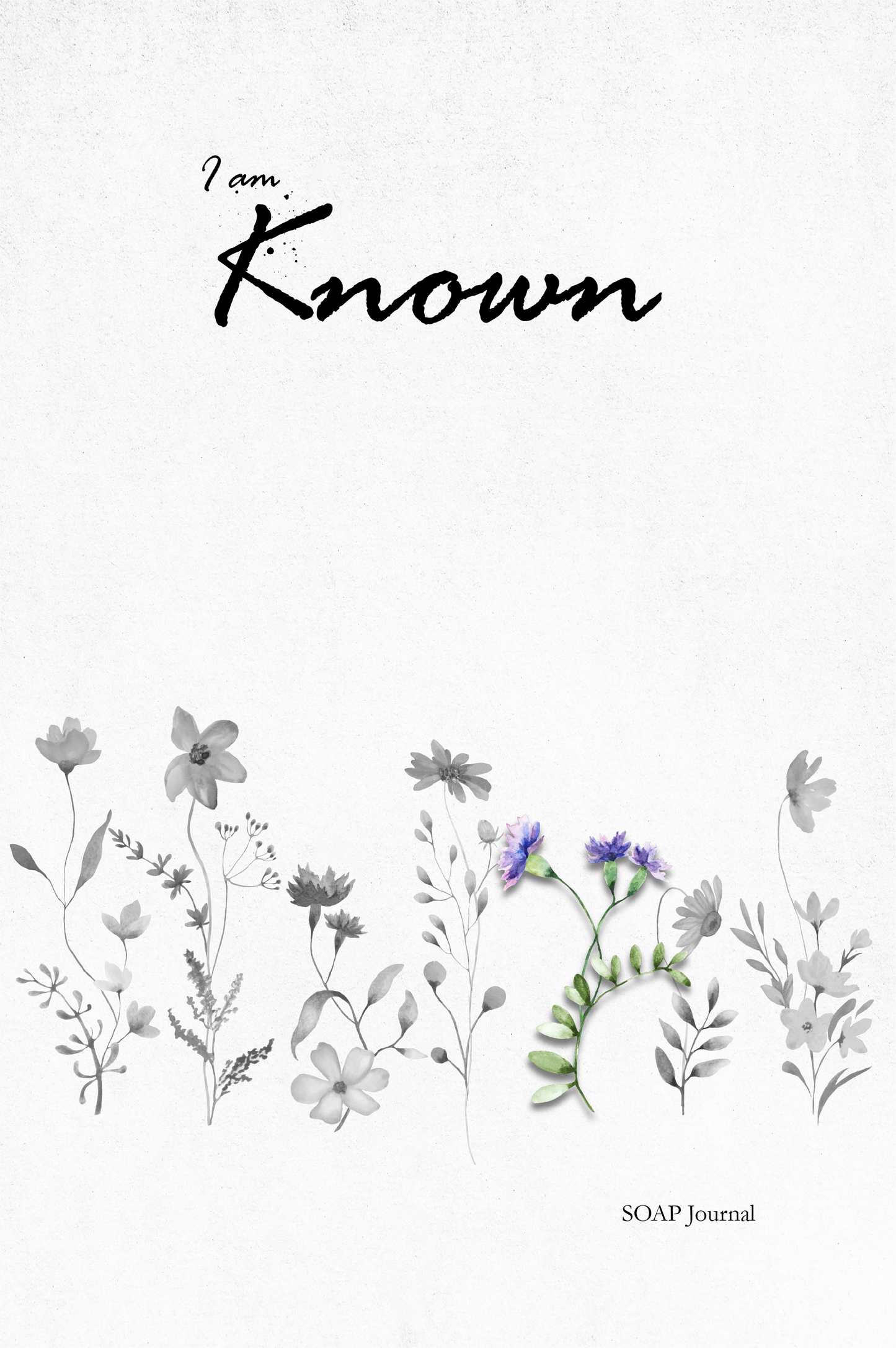 I am Known: Women's Daily Bible Study SOAP Method and Prayer Journal (5 of 7 Journals)