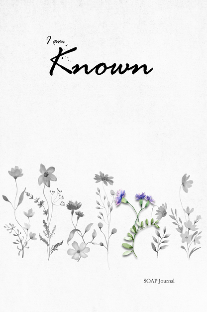 I am Known: Women's Daily Bible Study SOAP Method and Prayer Journal (5 of 7 Journals)