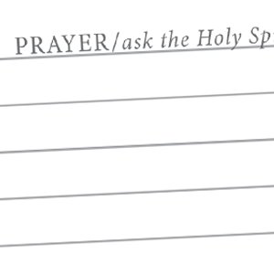 I am Called: Women's Daily Bible Study SOAP Method & Prayer Journal (1 of 7 Journals)