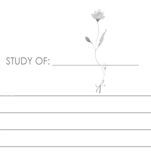 I am Called: Women's Daily Bible Study SOAP Method & Prayer Journal (1 of 7 Journals)