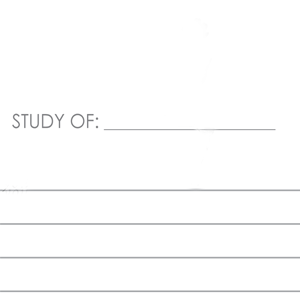 Chosen of the Lord: Mens or Teen Boys Daily Bible Study SOAP Method and Prayer Journal