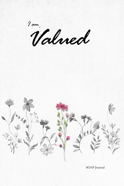 I am Valued: Women's Daily Bible Study SOAP Method and Prayer Journal (4 of 7 Journals)